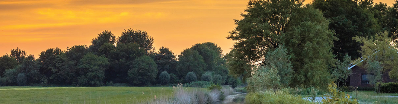 an evening view of land surrounded by trees next to a creek.